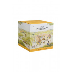 BIB Blanc fruité 5L Le...