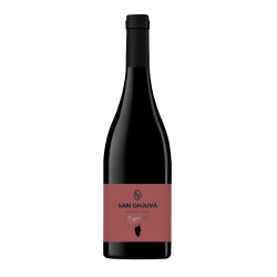riserva rouge vin corse aop niellucciu vin rouge structure